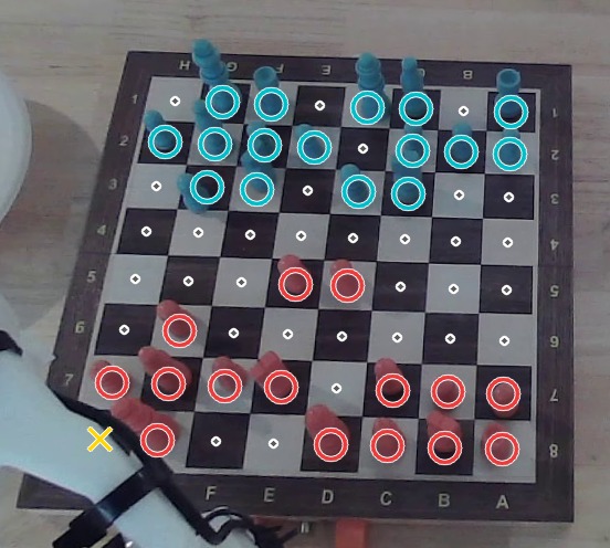 The same frame with a verdict drawn on every square: coloured rings on occupied squares, dots on empty ones, and a cross on the one square the reader refused to call